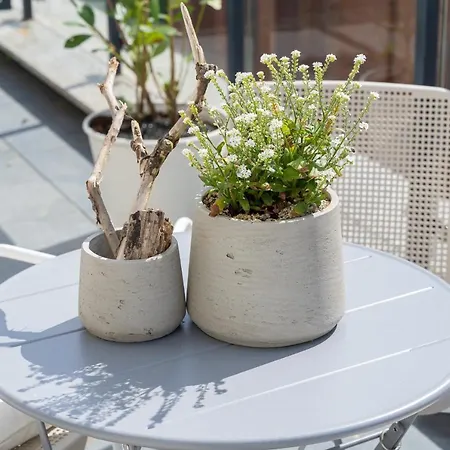 Prezydencki Bulwary Stare No 1 * Štetín